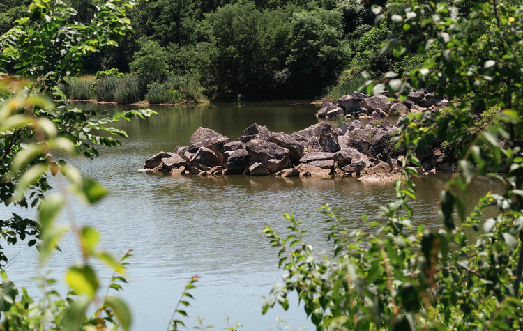 在線溶氧儀對水產(chǎn)養(yǎng)殖的幫助 在線溶氧儀對水產(chǎn)養(yǎng)殖的幫助